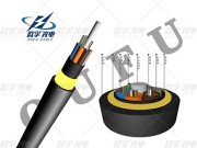 Què és tot un cable òptica ADSS de cables autosuportament?